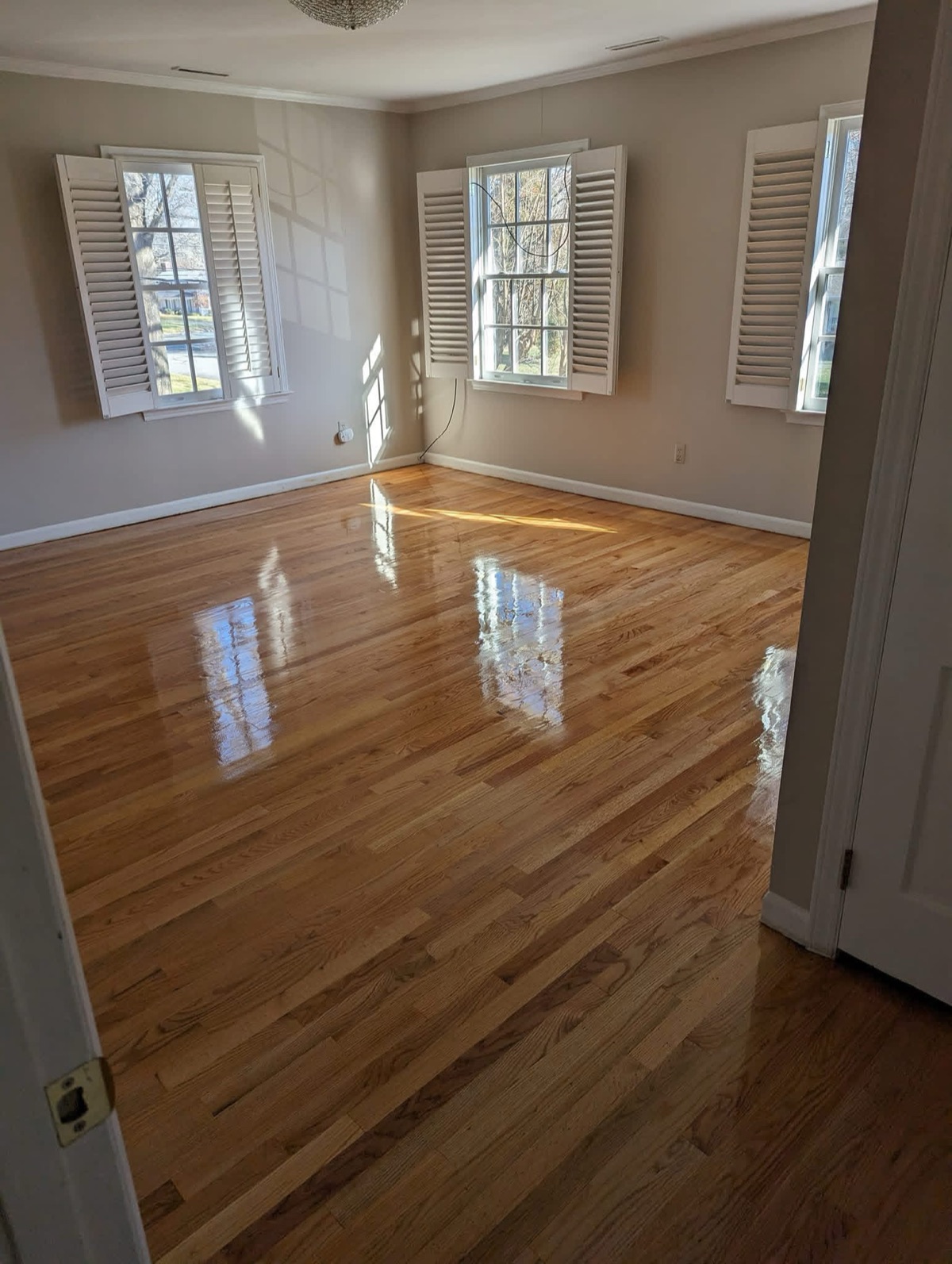 A bedroom hardwood floor refinished, sunlight reflecting off the new finish